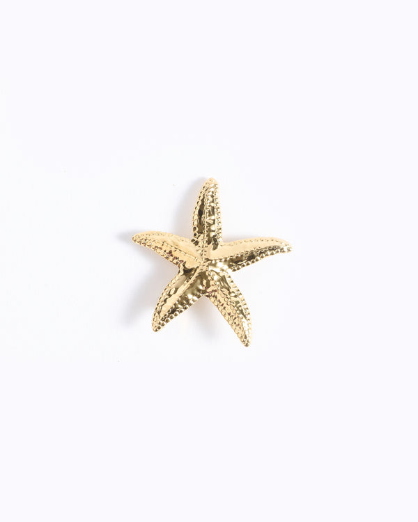 Starfish Brooch Pin