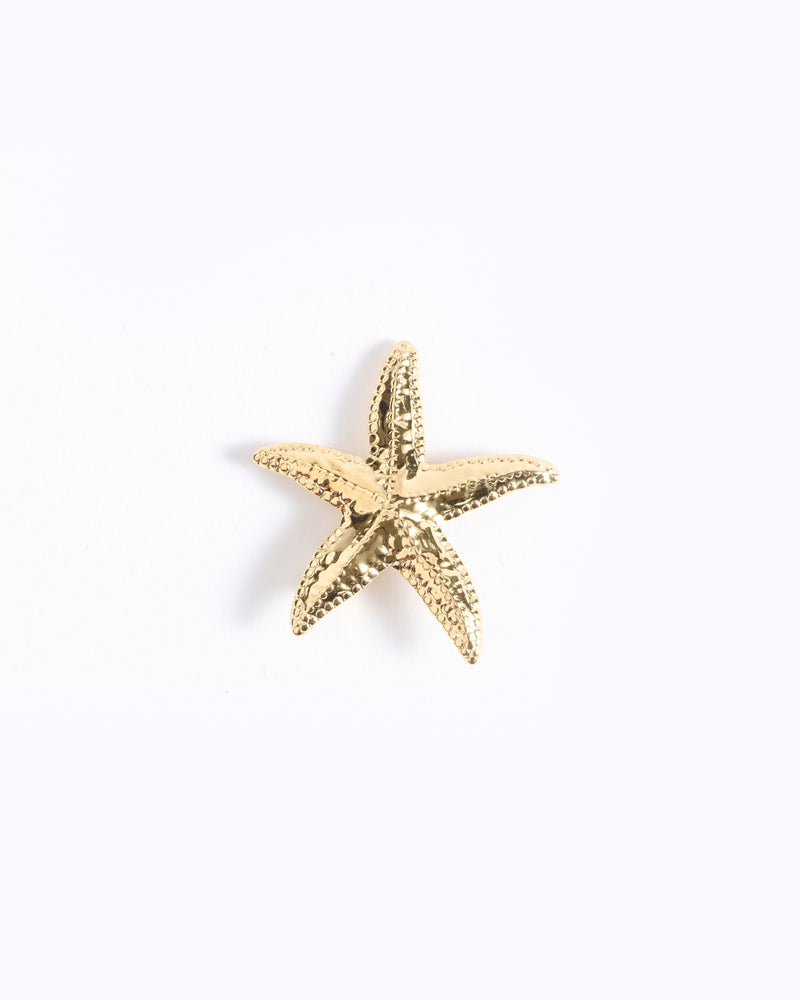 Starfish Brooch Pin